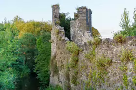 THE RIVERSIDE GARDEN [ABBEY QUARTER PROJECT KILKENNY]-195866-1