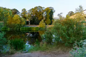 THE RIVERSIDE GARDEN [ABBEY QUARTER PROJECT KILKENNY]-195867-1