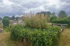 SAINT PARTICK'S GRAVEYARD [KILKENNY]-195322-1