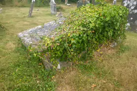 SAINT PARTICK'S GRAVEYARD [KILKENNY]-195325-1