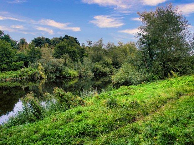 BEYOND THE STILE AT FENNESSEY'S MILL - KILKENNY As there was a stile at the Mill I decided to cross and explore the surrounding area but as there was no obvious...