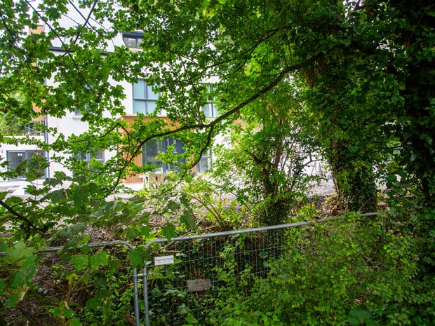 GALLOWS HILL Given the townland's ominous name, Gallows Hill, and the presence of a large tree bearing the same name, it's possible...