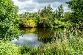 BISHOPS MEADOWS RIVER WALK [RIVER NORE LINEAR PARK]-195497-1