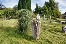 ST PATRICKS GRAVEYARD [UPPER ST PATRICK STREET IN KILKENNY]-234069-1