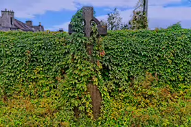 THE OLDER ST JOHN'S CHURCH IN KILKENNY AUGUST 2018 [ANGLICAN COMMUNION]-234320-1