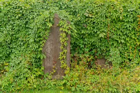 THE OLDER ST JOHN'S CHURCH IN KILKENNY AUGUST 2018 [ANGLICAN COMMUNION]-234321-1