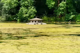 kilkenny-castle-duck-pond-003