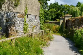 kilkenny-castle-duck-pond-006