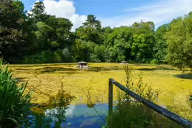 kilkenny-castle-duck-pond-007