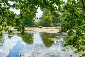 CASTLE DUCK POND