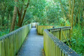 LACKEN WALK [MAUDLIN STREET - OSSORY BRIDGE]-195704-1