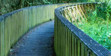 LACKEN WALK [MAUDLIN STREET - OSSORY BRIDGE]-195705-1