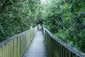 LACKEN WALK [MAUDLIN STREET - OSSORY BRIDGE]-195706-1