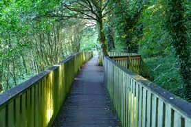 LACKEN WALK [MAUDLIN STREET - OSSORY BRIDGE]-195709-1