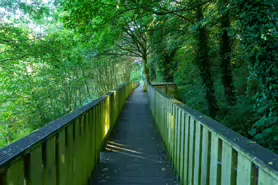 LACKEN WALK [MAUDLIN STREET - OSSORY BRIDGE]-195710-1