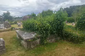 SAINT PARTICK'S GRAVEYARD [KILKENNY]-195323-1