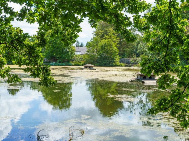 CASTLE DUCK POND