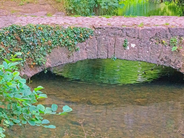 THIS CANAL WALK WAS IMPROVED IN 1861 - KILKENNY Unfortunately the canal on the River Nore was never finished. The start of the canal is marked on Rocque’s map of...