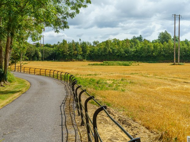 BISHOP MEADOWS CANAL WALK 2021