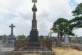 MOUNT ST LAWRENCE CEMETERY IN LIMERICK [2016 LEGACY PHOTO COLLECTION]-244543-1