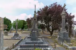 MOUNT ST LAWRENCE CEMETERY IN LIMERICK [2016 LEGACY PHOTO COLLECTION]-244548-1