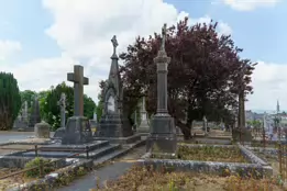 MOUNT ST LAWRENCE CEMETERY IN LIMERICK [2016 LEGACY PHOTO COLLECTION]-244550-1