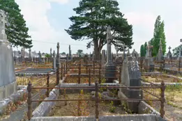 MOUNT ST LAWRENCE CEMETERY IN LIMERICK [2016 LEGACY PHOTO COLLECTION]-244551-1