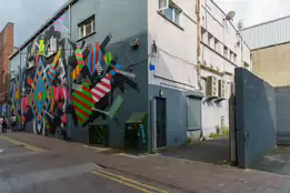 MURAL ON LITTLE WILLIAM STREET OR BROWN THOMAS LANE [BY ASKEW ONE AND MASER]-244559-1