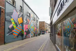 MURAL ON LITTLE WILLIAM STREET OR BROWN THOMAS LANE [BY ASKEW ONE AND MASER]-244560-1