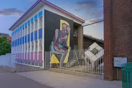 STREET ART INCLUDING THE SLEEPING PATTERNS MURALS [THE CAHILL MAY ROBERTS SITE JUNE 2016]-244469-1