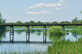 THE BLACK BLACK BRIDGE AT PLASSEY [WAS DERELICT WHEN I FIRST PHOTOGRAPHED IT]-233870-1 SONY DSC