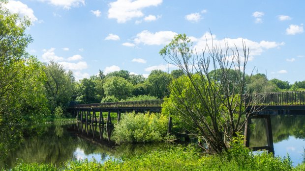 BLACK BRIDGE The Black Bridge at Plassey, a historic landmark spanning the River Shannon, has a story marked by both grandeur and...