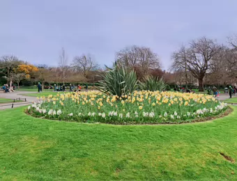 I VISITED ST STEPHEN'S GREEN ON ST PATRICK'S DAY [17 MARCH 2024]-231611-1