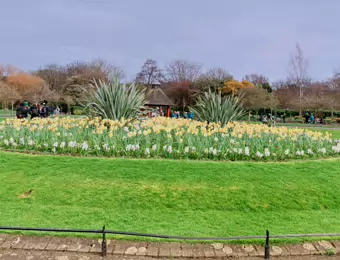 I VISITED ST STEPHEN'S GREEN ON ST PATRICK'S DAY [17 MARCH 2024]-231613-1