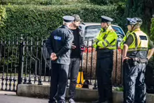 A GORILLA PROTEST ON CLYDE ROAD [ORGANISED BY SLOVAKIAN NATIONALS LIVING IN IRELAND]J-233409-1