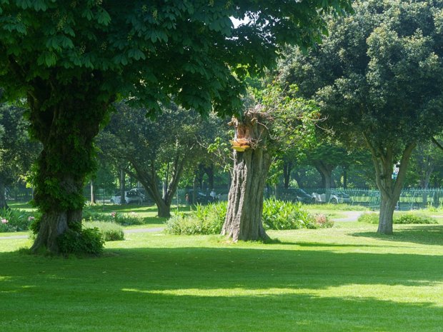 HERBERT PARK a 32-acre public park located in Ballsbridge, Dublin 4. The park is divided into two halves by Herbert Park Road.