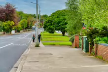 I REALLY LIKE THIS TREE [I WALKED ALONG LUCAN ROAD IN CHAPELIZOD ON MY WAY TO PALMERSTOWN]-232355-1