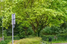 CHAPELIZOD ON THE SOUTH OF THE LIFFEY [PEDESTRIAN PRIORITY ZONE]-232362-1