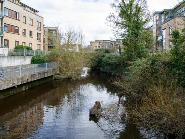 Exploring Phoenix Park And Chapelizod In April 2024 I devoted about two weeks to exploring Phoenix Park and Chapelizod Village