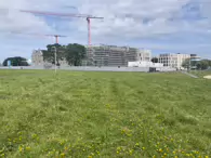 THE WEST QUAD, THE ACADEMIC HUB, THE CENTRAL AND GREENWAY HUBS [TU GRANGEGORMAN CAMPUS]-233809-1