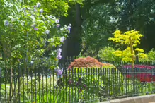 EXPLORING THE DARTMOUTH SQUARE AREA [LOCATED NEAR RANELAGH]-233430-1