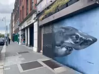 MORE INTERESTING STREET ART BY @ORIEL467 [LOCATED AT THE INN ON THE LIFFEY]-233629-1