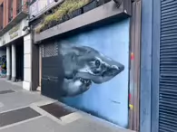 MORE INTERESTING STREET ART BY @ORIEL467 [LOCATED AT THE INN ON THE LIFFEY]-233630-1