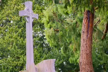 WAR MEMORIAL IN GLASNEVIN CEMETERY [A GIFT FROM THE PEOPLE OF FRANCE]-232179-1