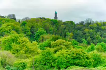 THE OLD GUINNESS CLOCK TOWER AT FARMLEIGH [AS SEEN FROM WATERSTOWN PUBLIC PARK]-232481-1