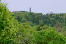 THE OLD GUINNESS CLOCK TOWER AT FARMLEIGH [AS SEEN FROM WATERSTOWN PUBLIC PARK]-232482-1
