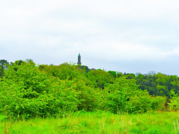 GUINNESS CLOCK AS SEEN FROM WATERSTOWN PARK