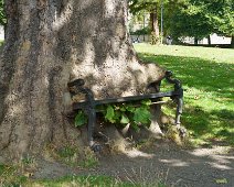 THE HUNGRY TREE [LOCAL CHILDREN ARE AFRAID TO SIT ON THE BENCH]-241646-1