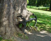 THE HUNGRY TREE [LOCAL CHILDREN ARE AFRAID TO SIT ON THE BENCH]-241647-1