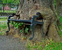 THE HUNGRY TREE [LOCAL CHILDREN ARE AFRAID TO SIT ON THE BENCH]-241650-1